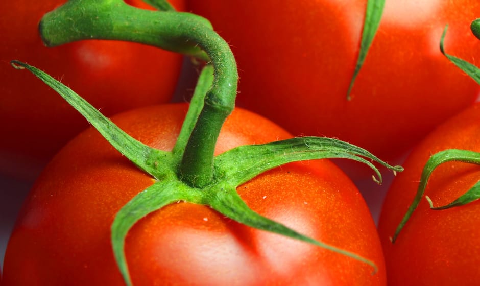 Imagebild Clever Nature Bio Force Tomato Spray