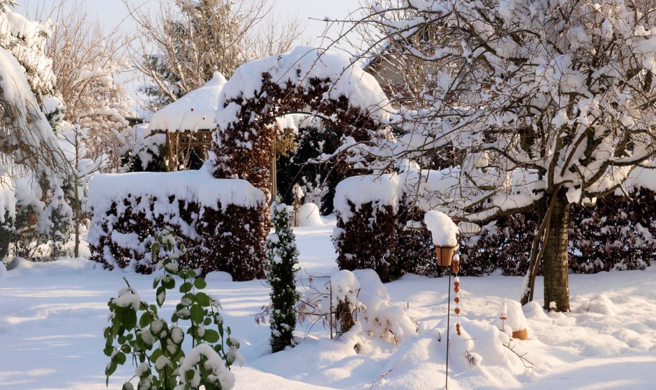 Schneelandschaft